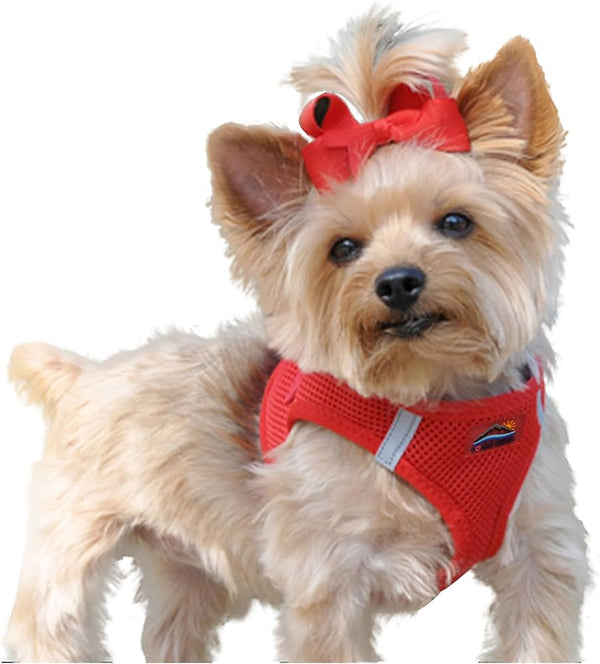 American River Solid Dog Harness