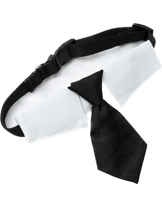 Knotted Tie w/Collar - Adjustable